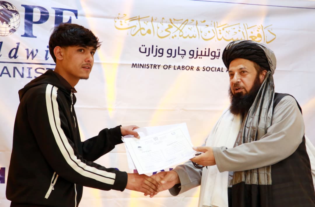 فني او حرفوي زده‌کړې